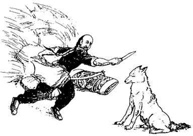 蒲松龄《狼》三则全文及翻译 - 古诗文言文 蒲松龄《狼》三则全文及翻译 - 古诗文言文