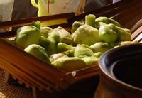 北人食菱翻译及道理分析 - 古诗文言文 北人食菱翻译及道理分析 - 古诗文言文