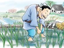 揠苗助长的意思和道理 - 古诗文言文 揠苗助长的意思和道理 - 古诗文言文