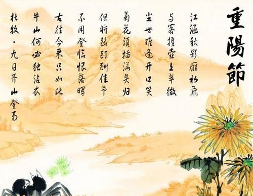 重阳节诗句集锦赏析 - 古诗文言文